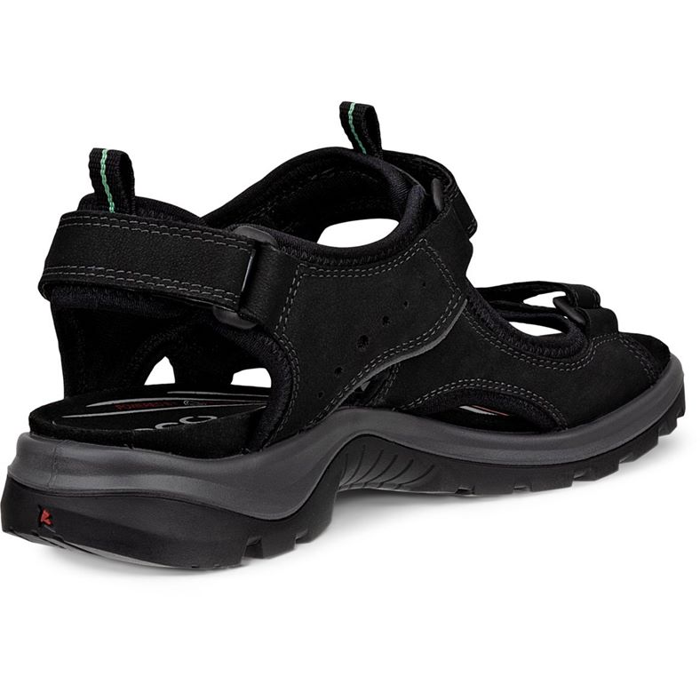 ecco offroad