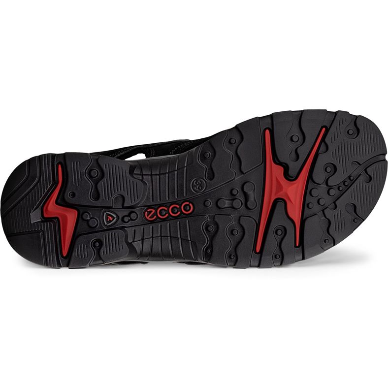 ecco offroad